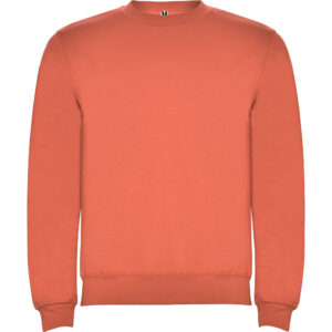 Sudadera Clásica | Roly - Imagen 33