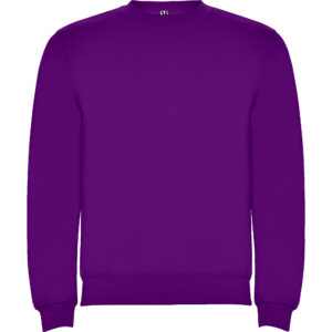 Sudadera Clásica | Roly - Imagen 25